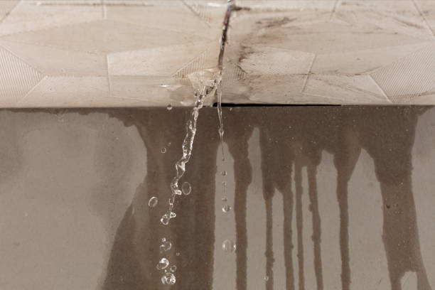 Professional Burst Pipe Cleanup technician working in Powell, TX